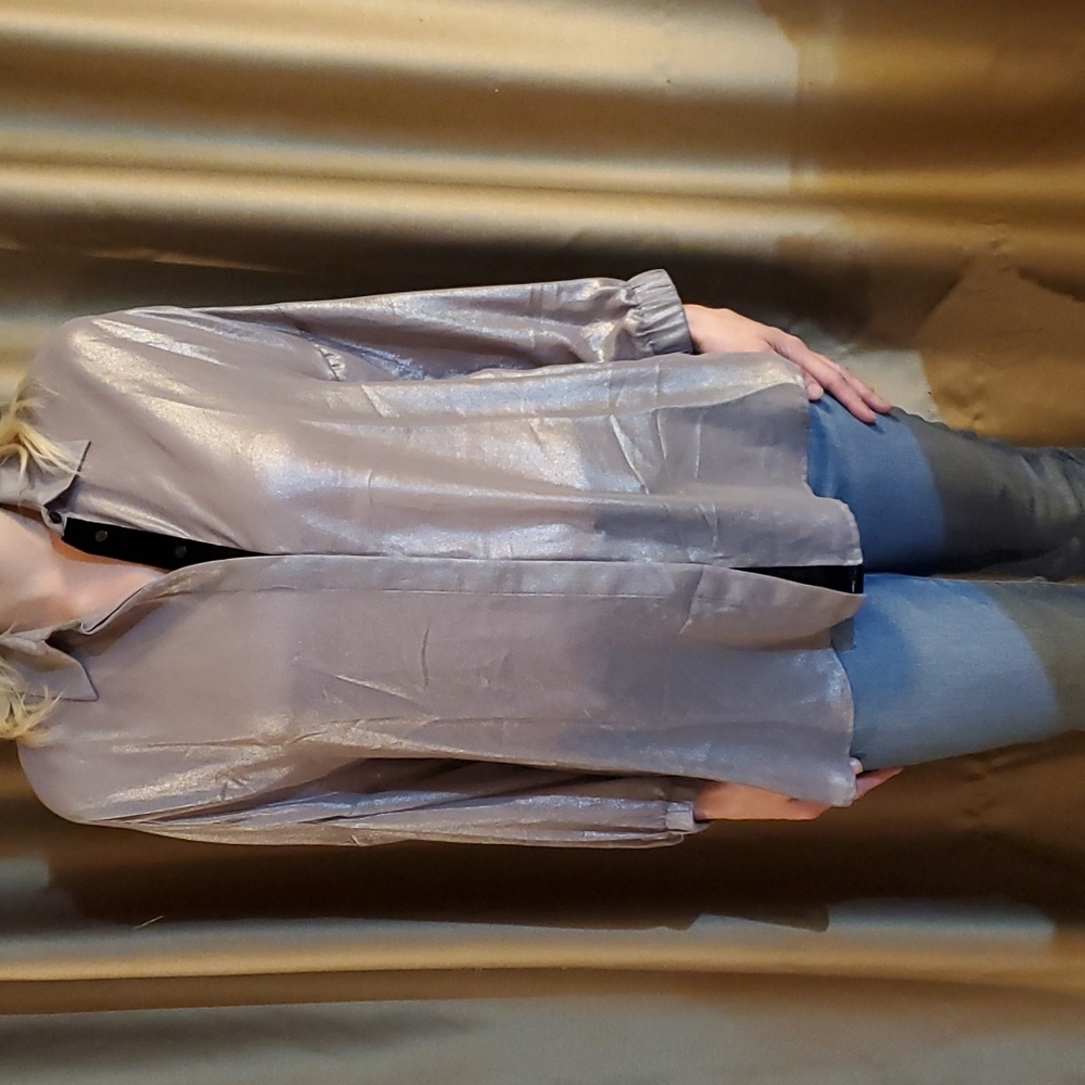 Zara Basic Silver dress shirt